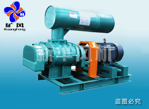 羅茨風機 回轉風機